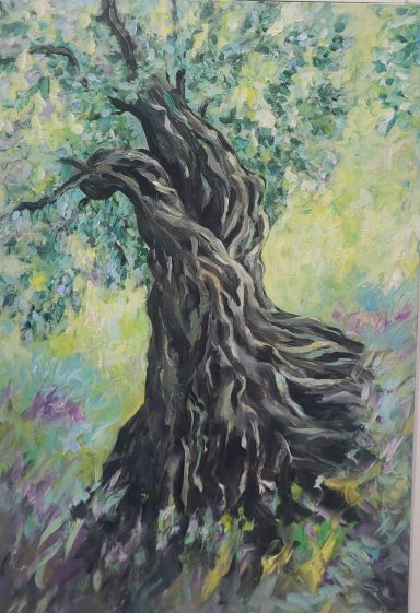 Olivier avec tronc sinueux